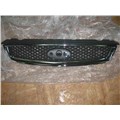 Решетка Радиатора Для Ford Focus II, 2